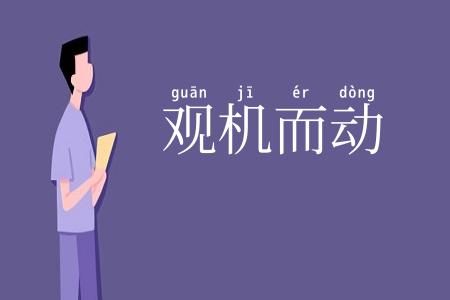 观机而动