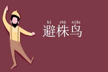 避株鸟