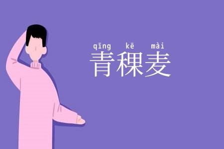 青稞麦