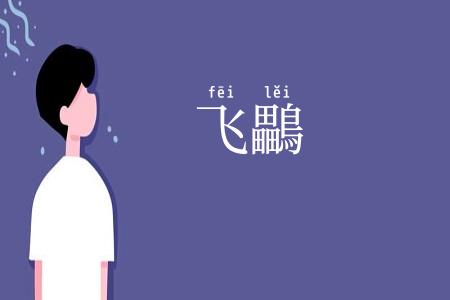 飞鸓