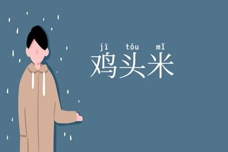 鸡头米