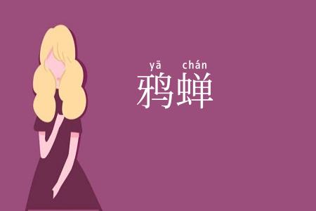 鸦蝉
