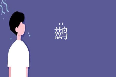 鹚